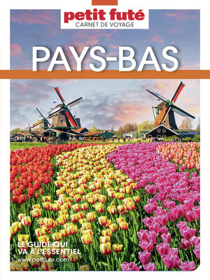 cover image of PAYS BAS 2023 Carnet Petit Futé